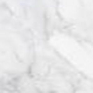 Meet your Posher, Abigail